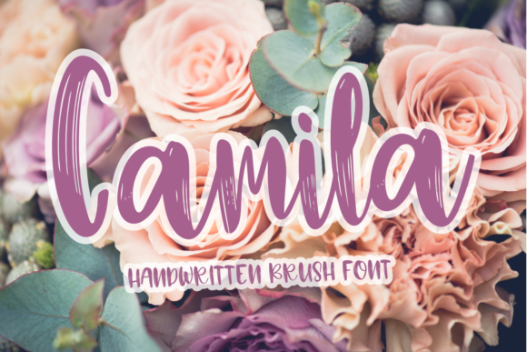 Camila: The Fun Chunky Font for Bold Creative Ideas