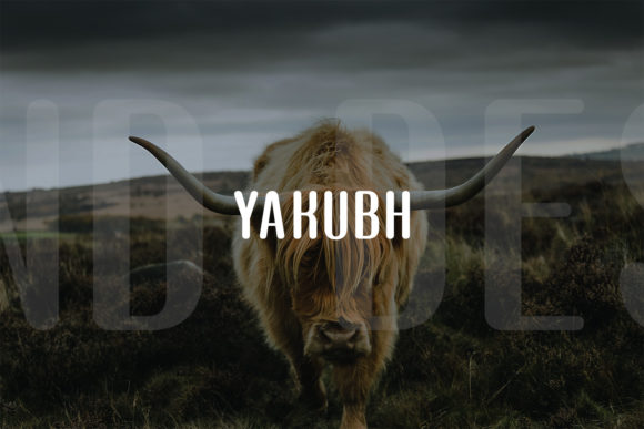 Evaluating Yakubh for Modern Branding and Creative Projects